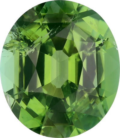 Oval cut green tourmaline, 14 by 12 mm, shown at actual size