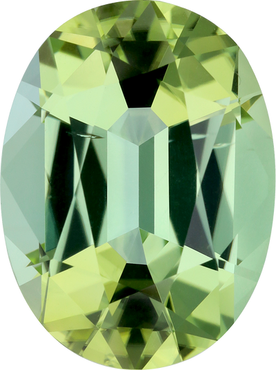 Oval cut green tourmaline, 17.7 by 13.11 mm, shown at actual size