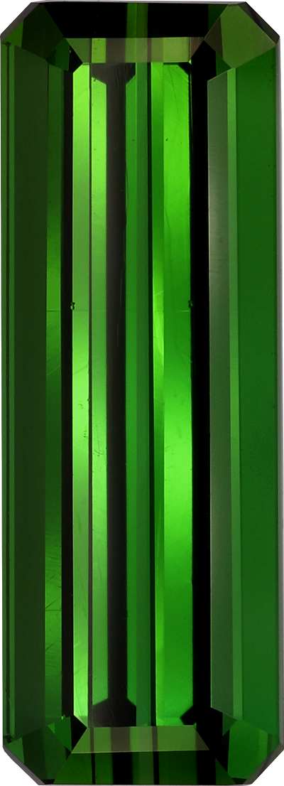 Rectangular cut green tourmaline, 22.8 by 8.2 mm, shown at actual size
