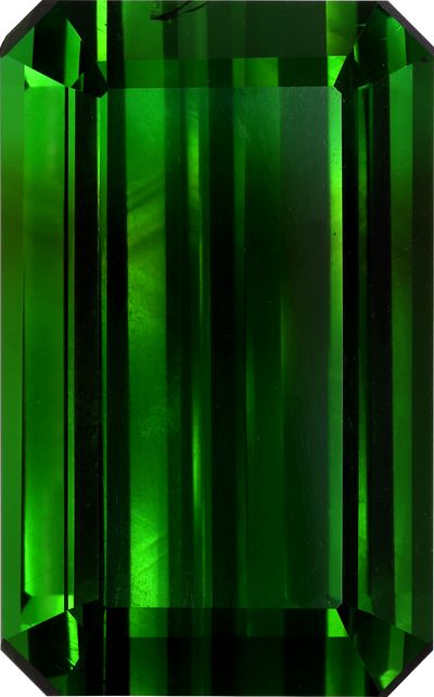 Rectangular cut green tourmaline, 25.9 by 16.3 mm, shown at actual size