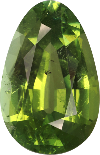 Pear cut green tourmaline, 18.9 by 12.28 mm, shown at actual size