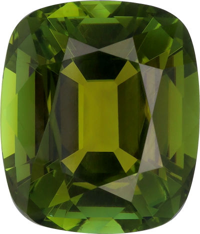Cushion cut green tourmaline, 14.25 by 12.19 mm, shown at actual size