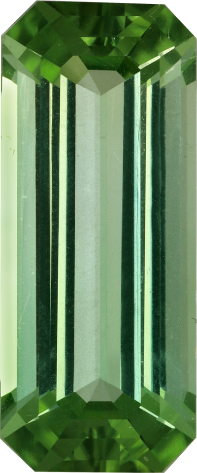 Rectangular cut green tourmaline, 19.39 by 8.11 mm, shown at actual size