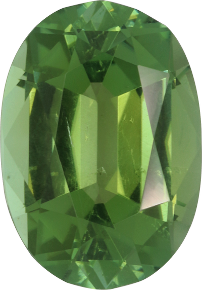 Oval cut green tourmaline, 12.18 by 8.49 mm, shown at actual size