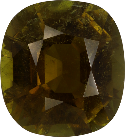 Cushion cut green tourmaline, 16.03 by 14.63 mm, shown at actual size