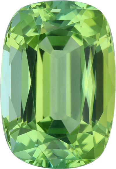 Cushion cut green tourmaline, 16.58 by 11.35 mm, shown at actual size