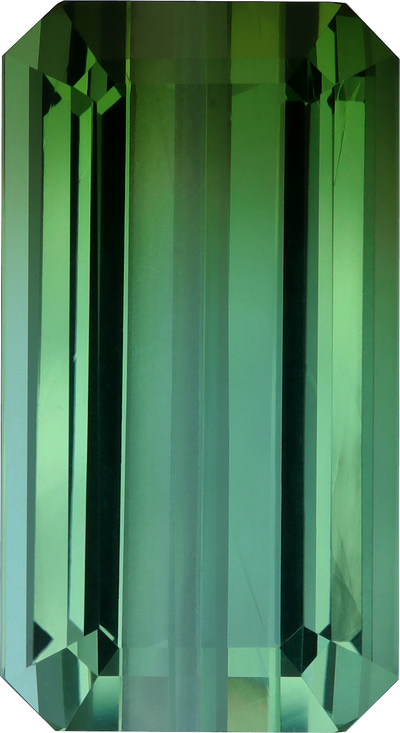 Rectangular cut green tourmaline, 25.15 by 13.67 mm, shown at actual size