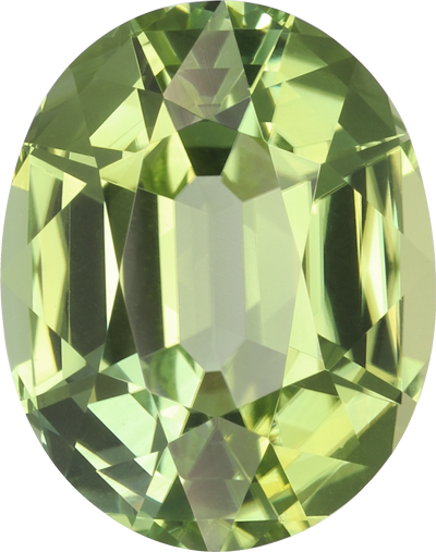 Oval cut green tourmaline, 11.07 by 8.72 mm, shown at actual size