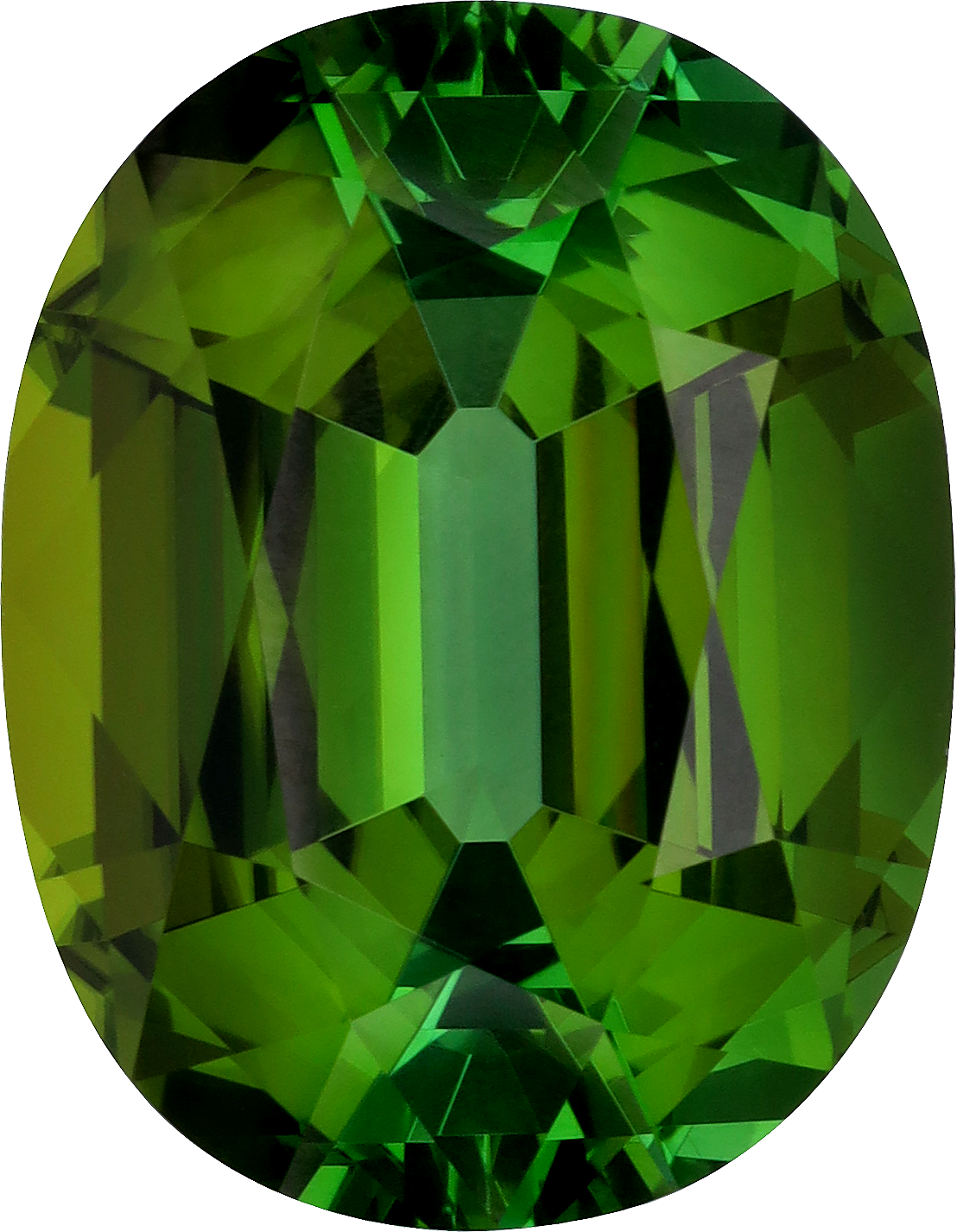 Oval cut green tourmaline, 20.02 by 15.54 mm, shown at actual size