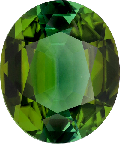 Oval cut green tourmaline, 16.97 by 14.22 mm, shown at actual size