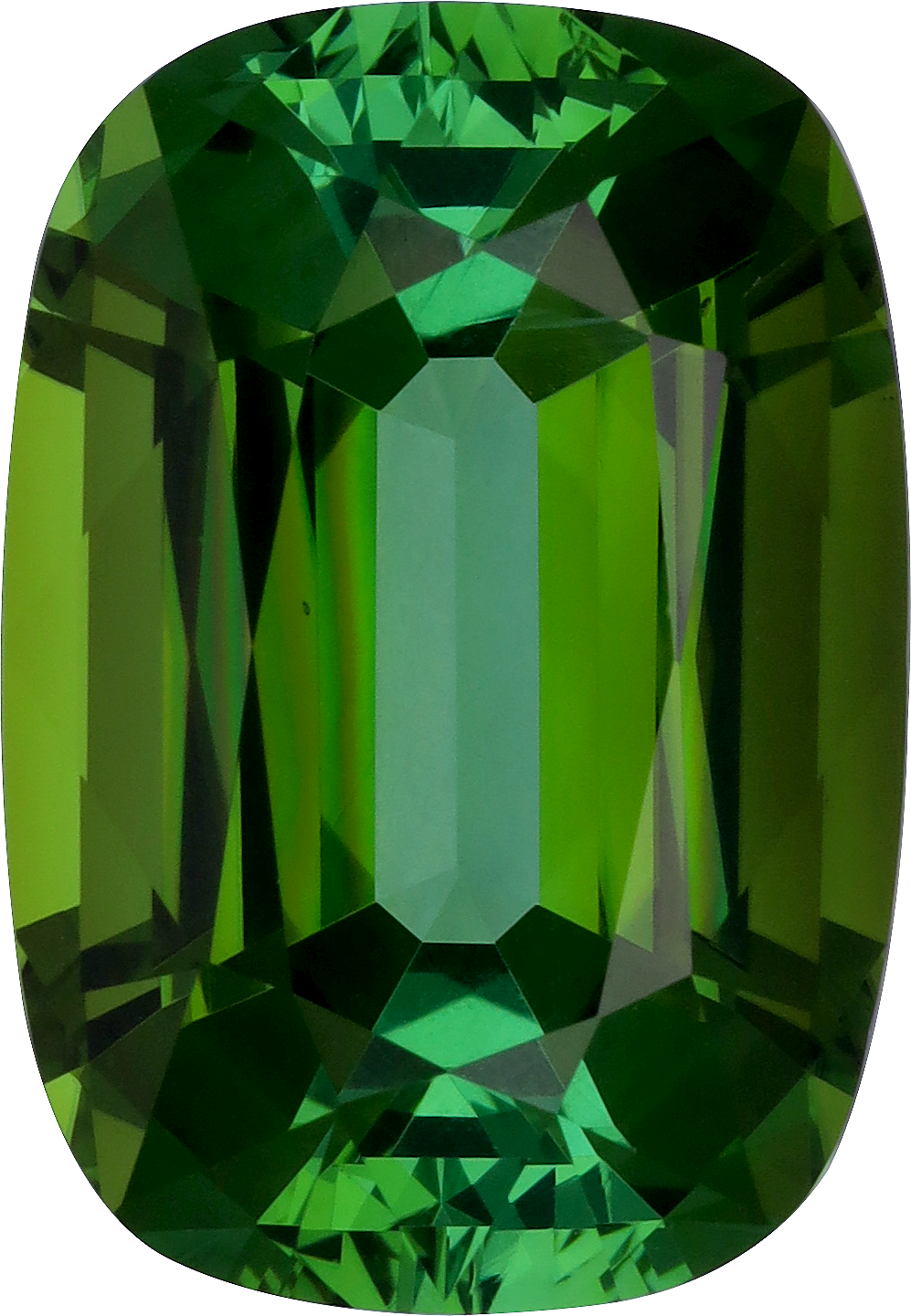 Cushion cut green tourmaline, 20.12 by 13.89 mm, shown at actual size