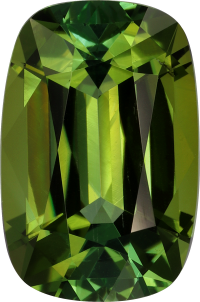 Cushion cut green tourmaline, 13.32 by 8.76 mm, shown at actual size