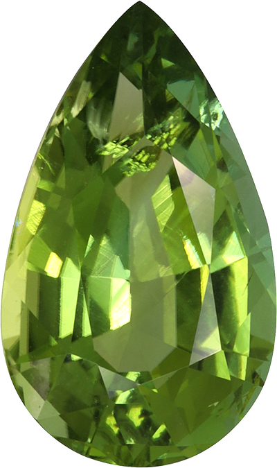 Pear cut green tourmaline, 16.4 by 9.78 mm, shown at actual size