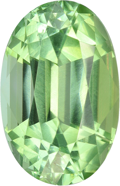 Oval cut green tourmaline, 12.09 by 7.97 mm, shown at actual size