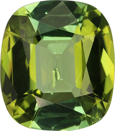 Cushion cut green tourmaline, 9.15 by 8.05 mm, shown at actual size