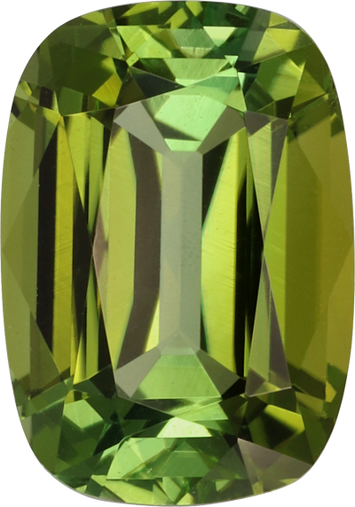 Cushion cut green tourmaline, 9.61 by 6.7 mm, shown at actual size