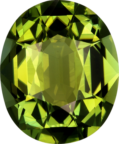 Oval cut green tourmaline, 11.08 by 9.23 mm, shown at actual size