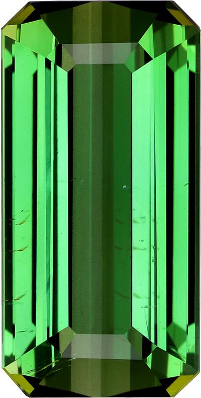 Rectangular cut green tourmaline, 15.58 by 7.85 mm, shown at actual size