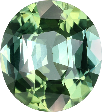 Oval cut green tourmaline, 11.17 by 10.09 mm, shown at actual size