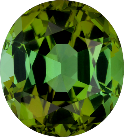 Oval cut green tourmaline, 15.32 by 13.8 mm, shown at actual size