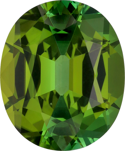Oval cut green tourmaline, 15.83 by 13.14 mm, shown at actual size