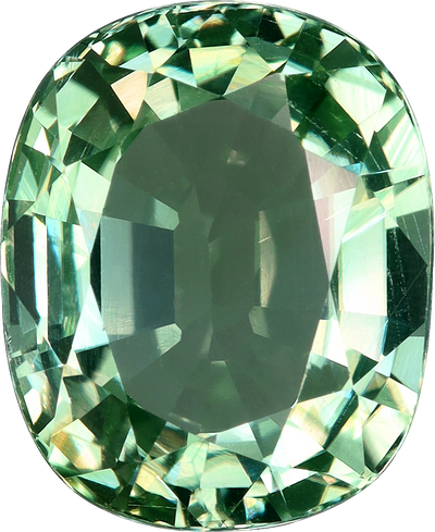 Unknown cut green tourmaline, 11.22 by 9.13 mm, shown at actual size