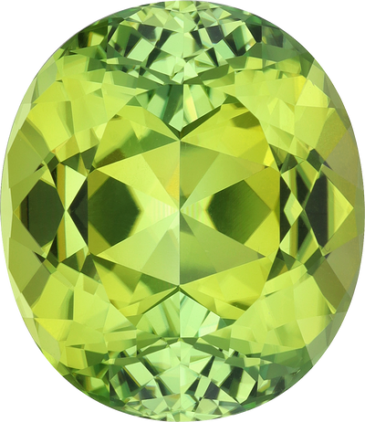 Oval cut green tourmaline, 20.2 by 17.49 mm, shown at actual size