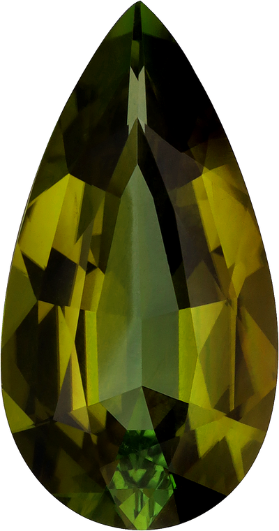 Pear cut green tourmaline, 22.54 by 11.84 mm, shown at actual size