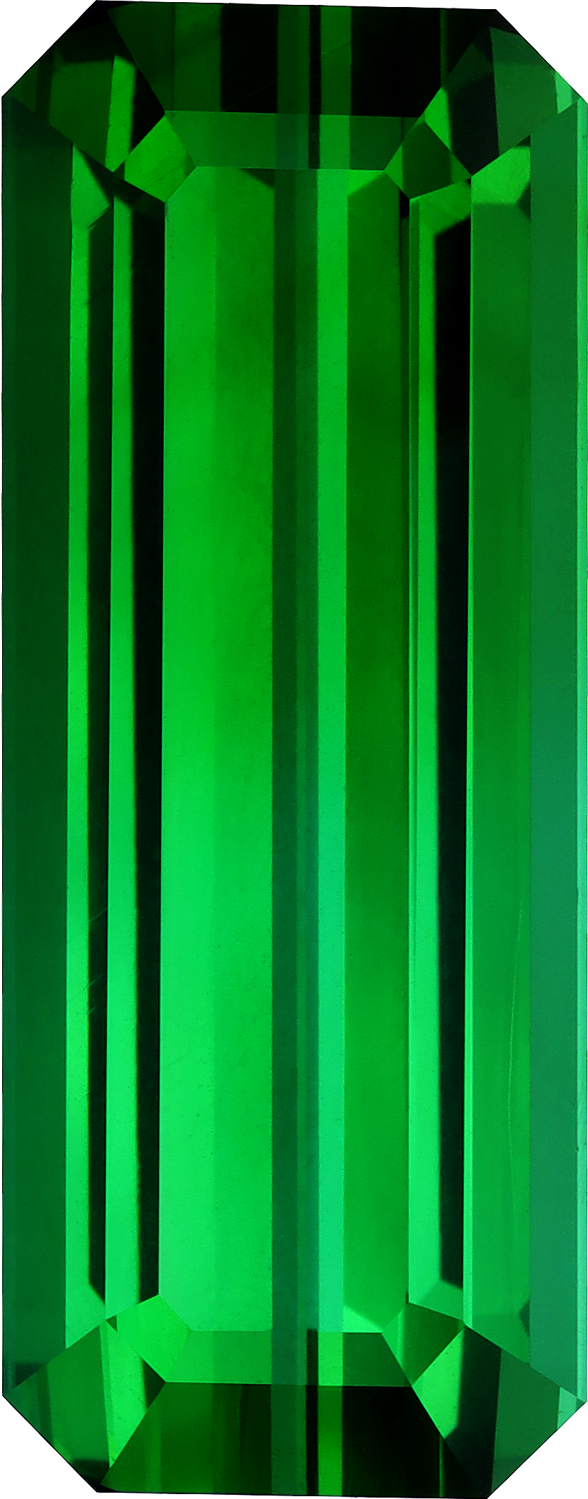 Rectangular cut green tourmaline, 34.9 by 13.89 mm, shown at actual size