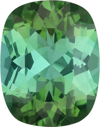 Cushion cut green tourmaline, 15.52 by 12.23 mm, shown at actual size