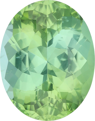 Oval cut green tourmaline, 16.1 by 12.61 mm, shown at actual size