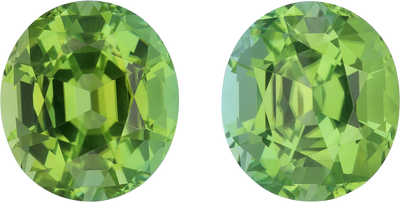 Oval cut green tourmaline, 15.88 by 14.14 mm, shown at actual size