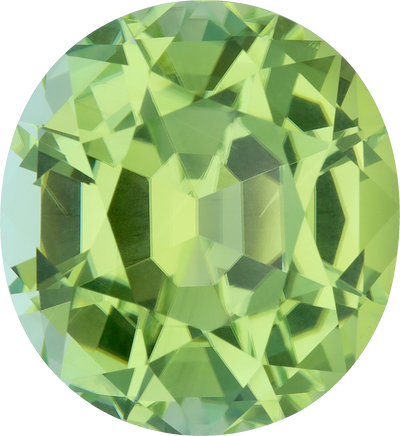 Oval cut green tourmaline, 20.91 by 19.19 mm, shown at actual size