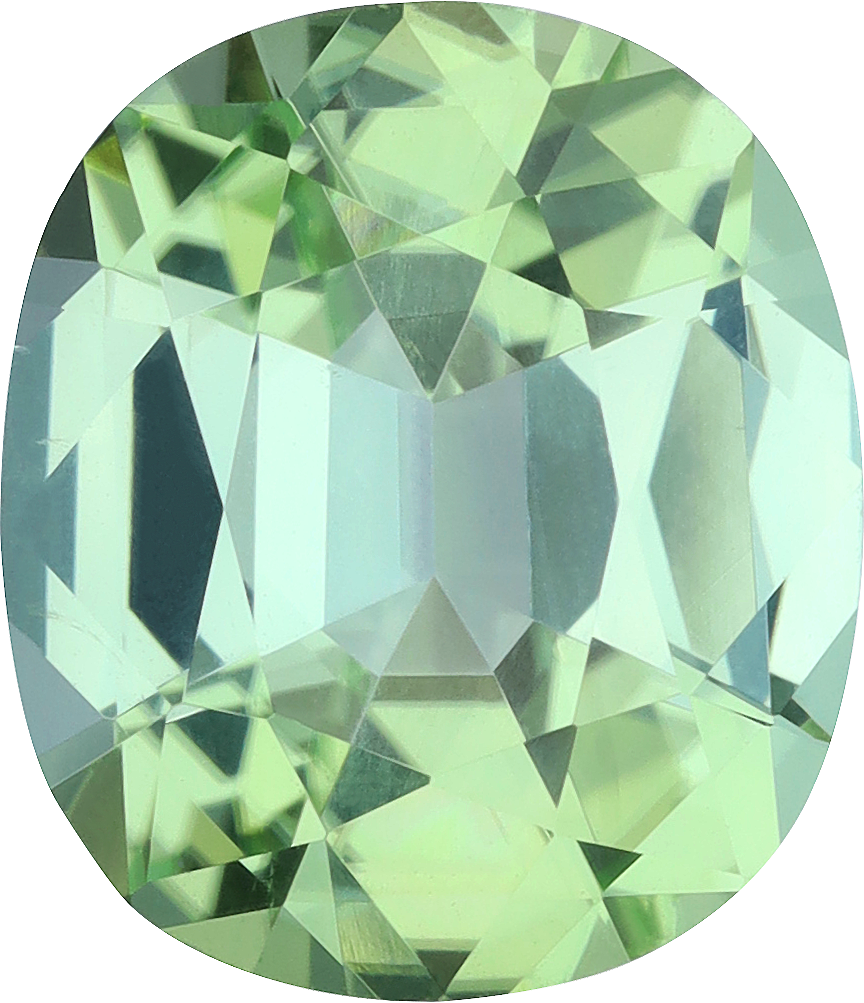 Oval cut mix tourmaline, 14.01 by 12.07 mm, shown at actual size