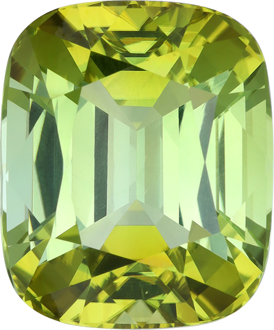 Cushion cut mix tourmaline, 21.39 by 17.73 mm, shown at actual size