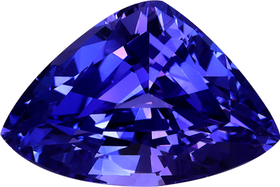 Trilliant cut tanzanite, 15.65 by 10.44 mm, shown at actual size
