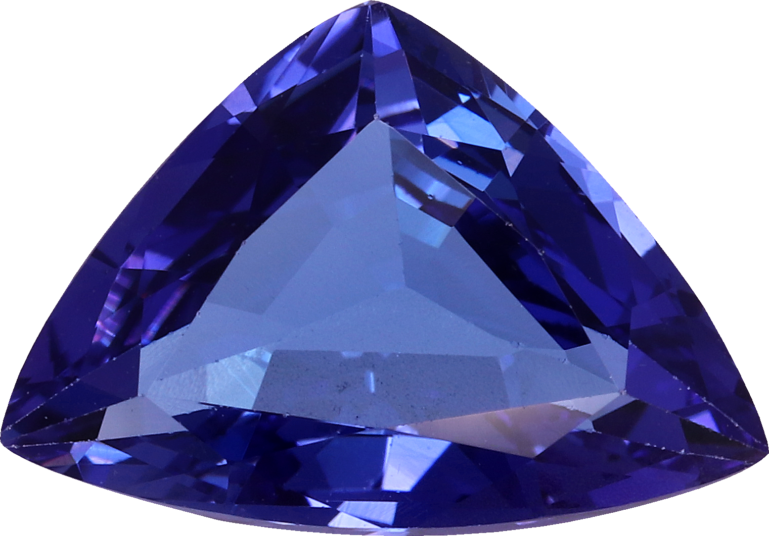 Trilliant cut tanzanite, 13.32 by 9.49 mm, shown at actual size