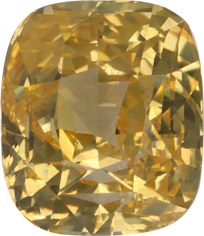 Cushion cut yellow sapphire, 7.61 by 6.56 mm, shown at actual size