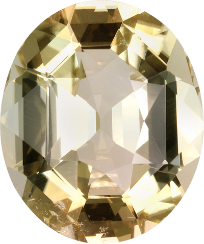 Oval cut yellow tourmaline, 14 by 12 mm, shown at actual size